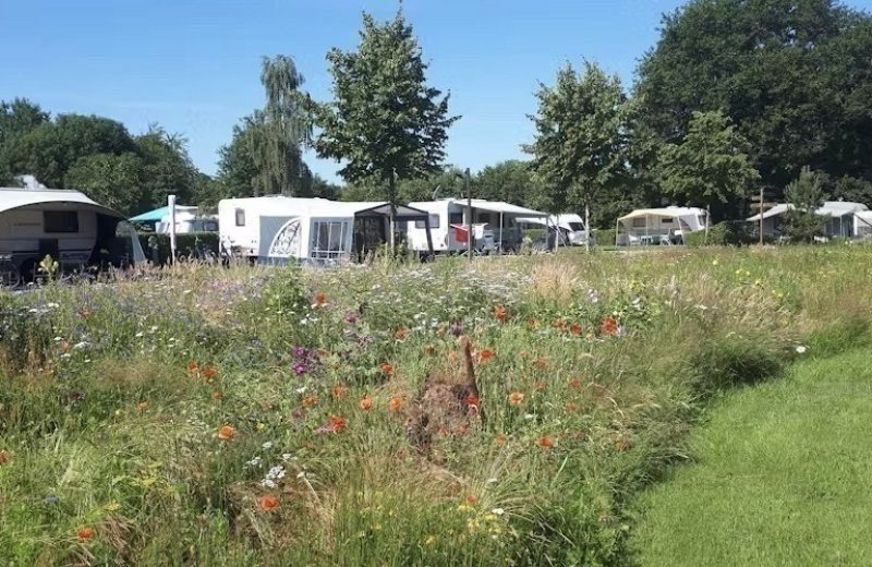 Entdecken Sie unser Frühlingsmenü