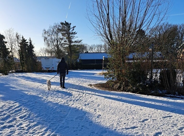 Wintercamping in Holland mit Hund